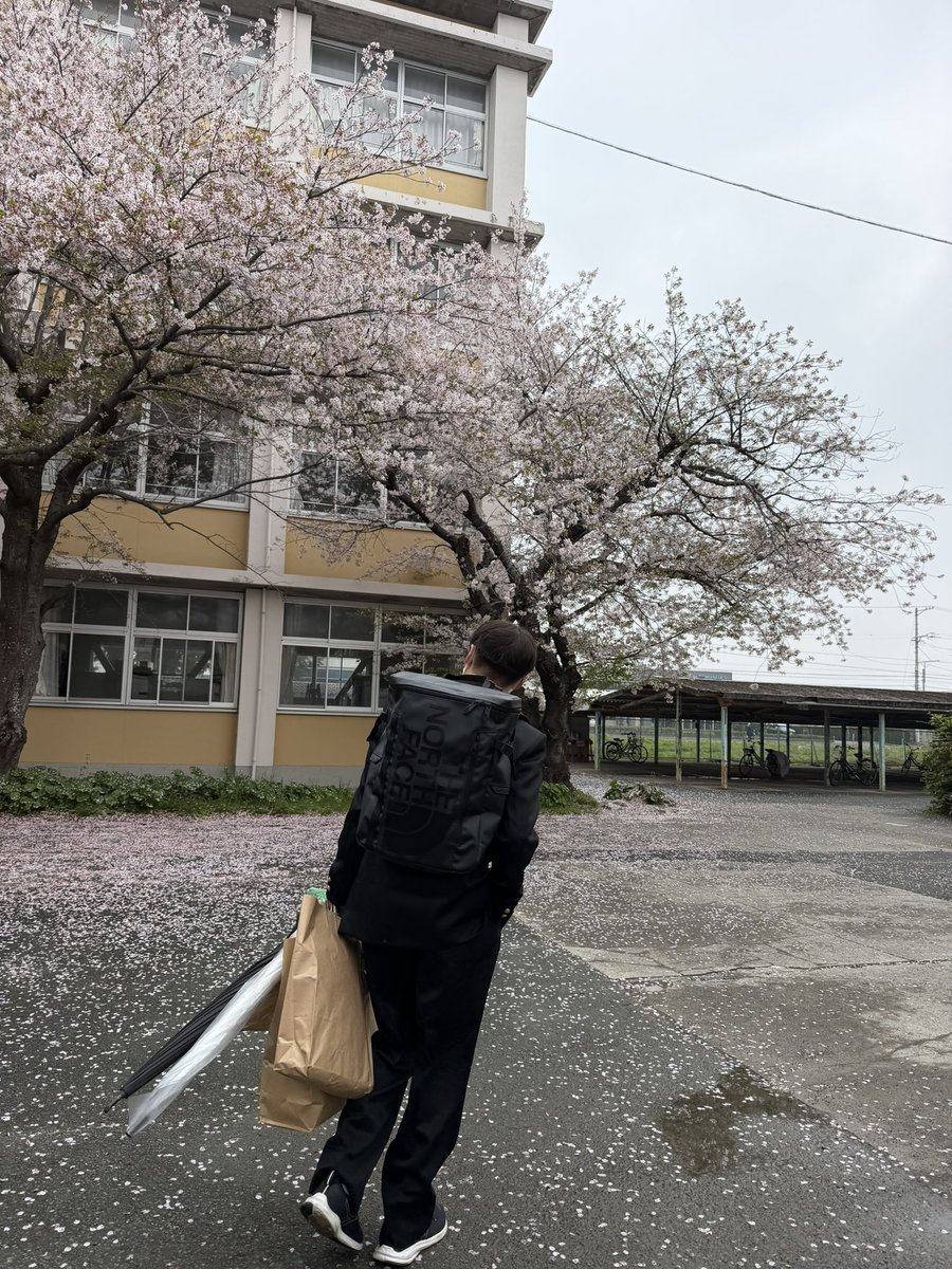 画像 1