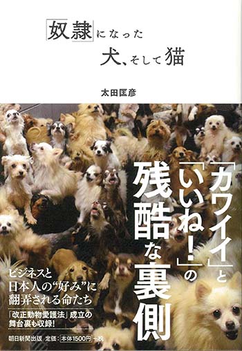 ガラスケースに子犬並べて売るの、いい加減見直しどきでは