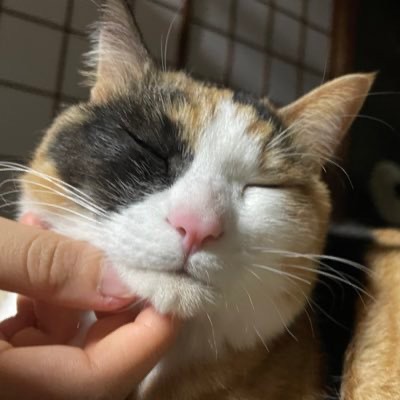 コーヒー片手に